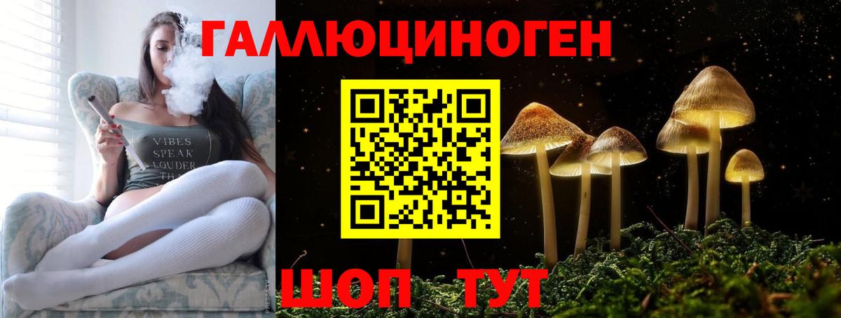 Псилоцибиновые грибы Psilocybine cubensis  Вход с VPN  Шали 
